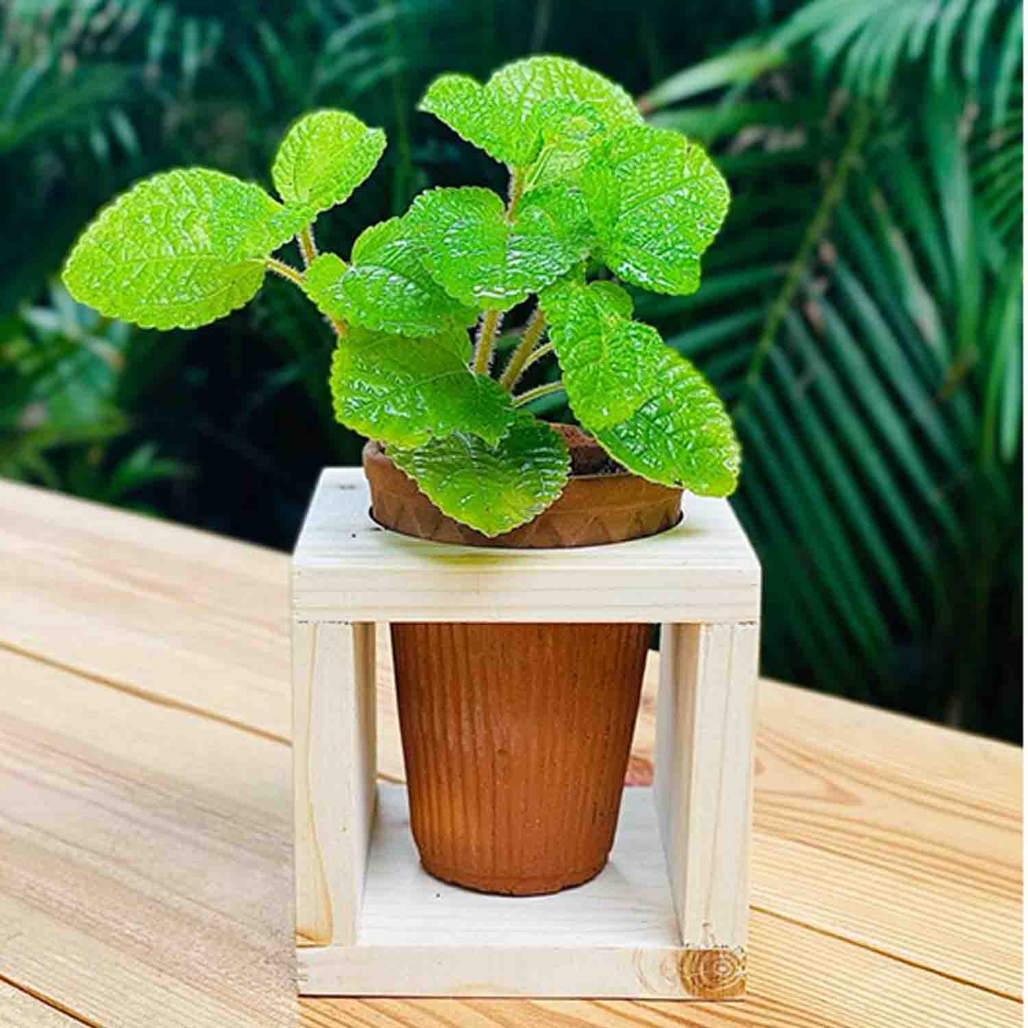 all products hotels_0002_Artiqulate Hotel Brochure (3)-65